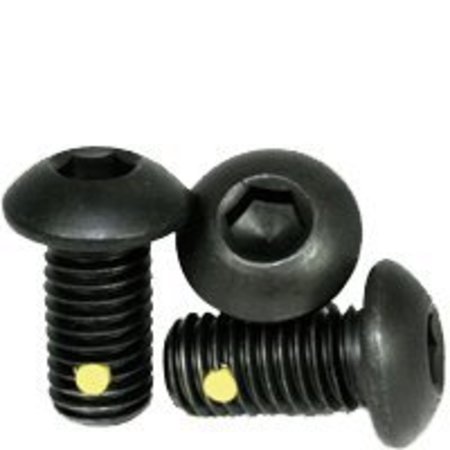 NEWPORT FASTENERS 1/4"-28 Socket Head Cap Screw, Black Oxide Alloy Steel, 5/8 in Length, 500 PK 566335-500